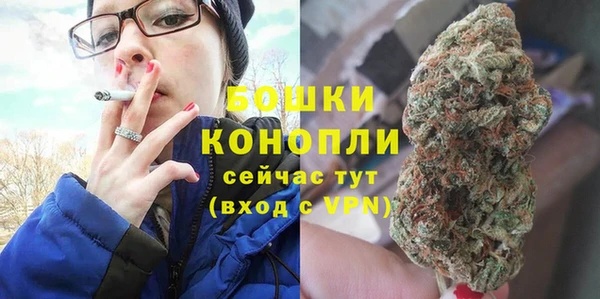 крисы Магадан